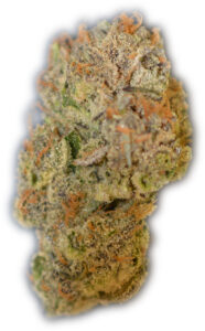 Close up of grape ape bud